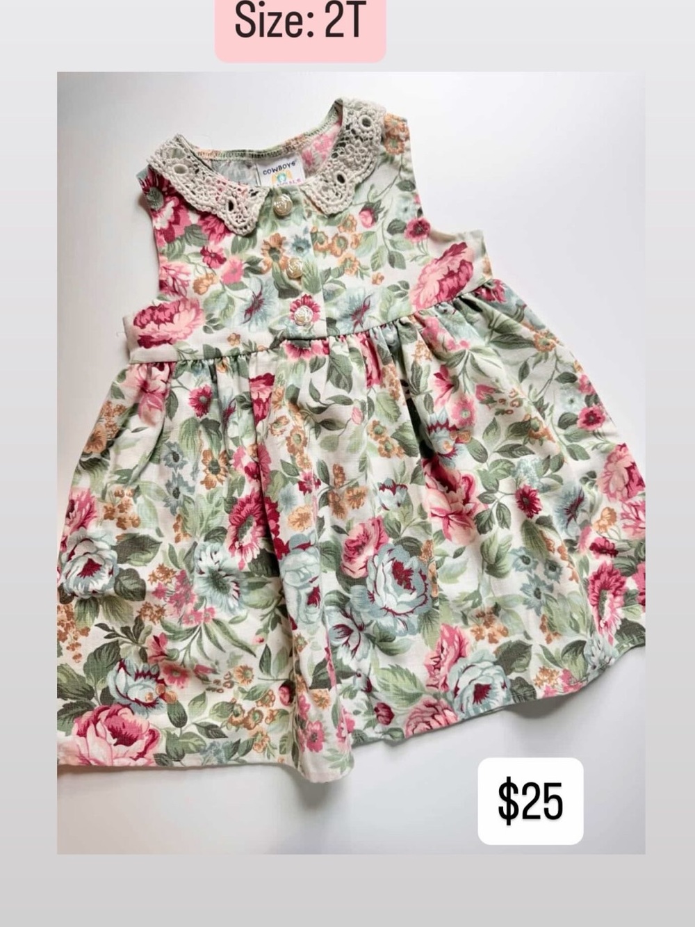 Floral Lace-Collar Dress - Pink, Green, Cream